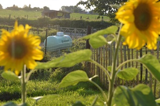 Le gaz propane combiné à d'autres d'énergies durables